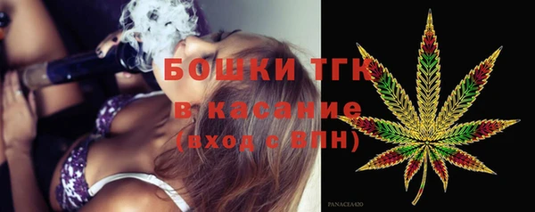 дживик Горняк