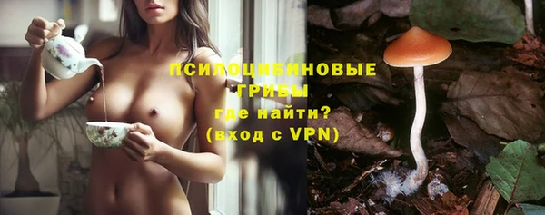 дживик Горняк