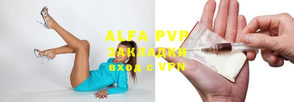 дживик Горняк