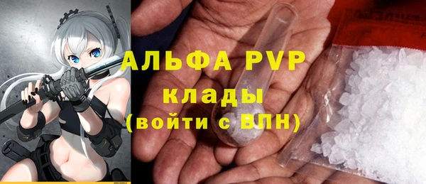 apvp Горнозаводск