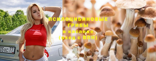 дживик Горняк
