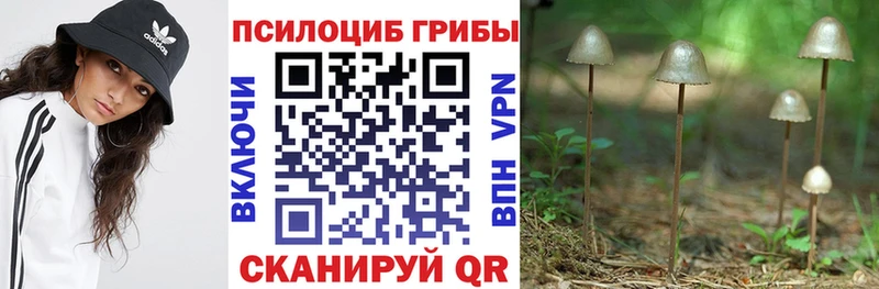 Псилоцибиновые грибы мицелий  Купить  Ува 